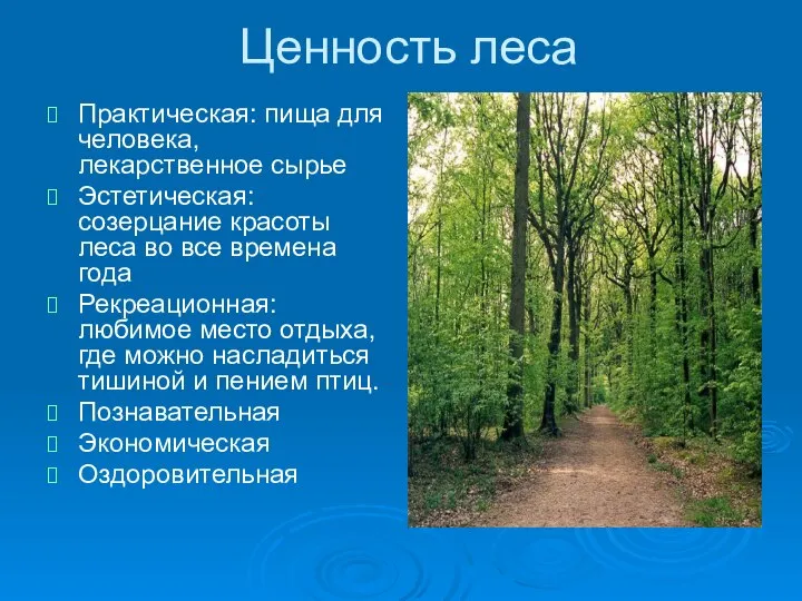 Ценность леса Практическая: пища для человека, лекарственное сырье Эстетическая: созерцание красоты