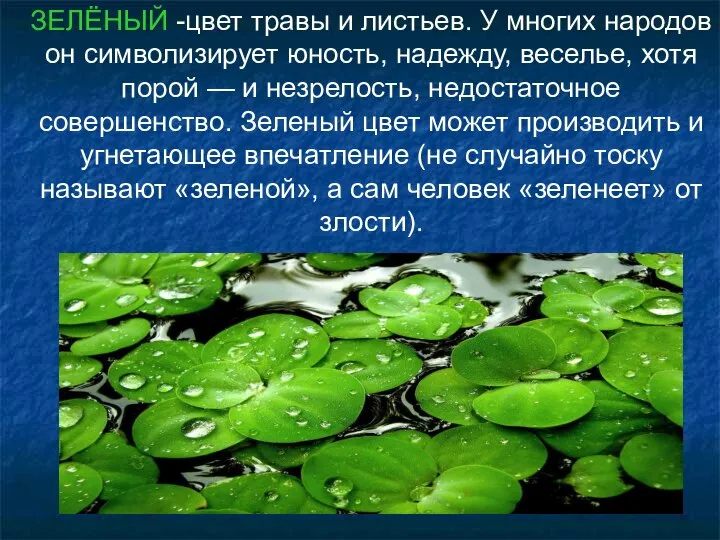 ЗЕЛЁНЫЙ -цвет травы и листьев. У многих народов он символизирует юность,