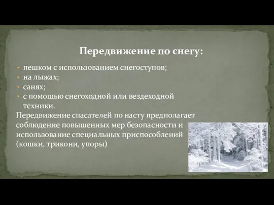 Передвижение по снегу: пешком с использованием снегоступов; на лыжах; санях; с