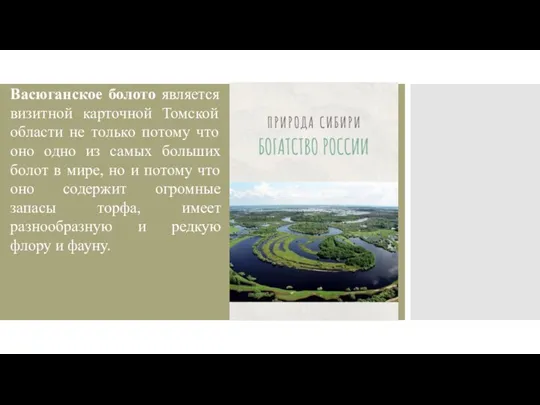 Васюганское болото является визитной карточной Томской области не только потому что