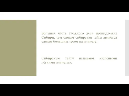 Большая часть таежного леса принадлежит Сибири, тем самым сибирская тайга является