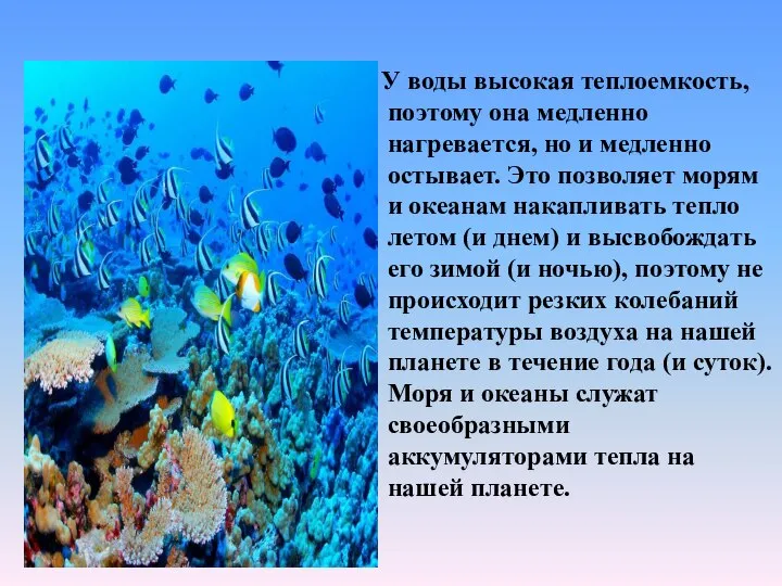 У воды высокая теплоемкость, поэтому она медленно нагревается, но и медленно