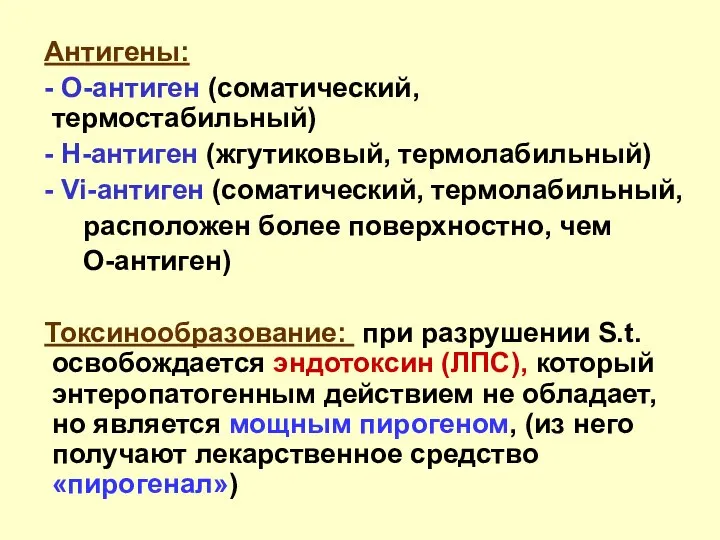 Антигены: - О-антиген (соматический, термостабильный) - Н-антиген (жгутиковый, термолабильный) - Vi-антиген