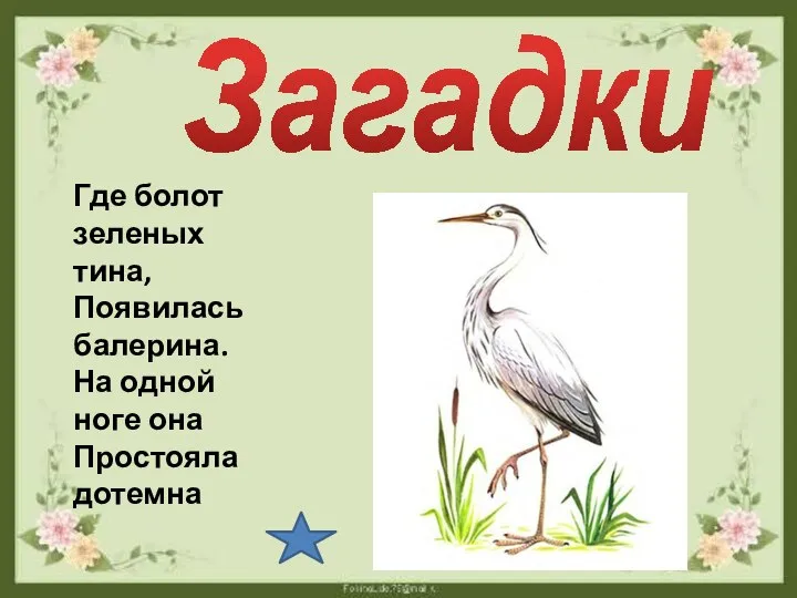 Загадки Где болот зеленых тина, Появилась балерина. На одной ноге она Простояла дотемна