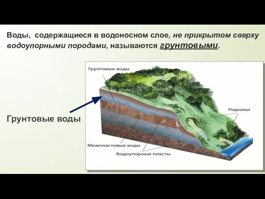 Воды, содержащиеся в водоносном слое, не прикрытом сверху водоупорными породами, называются грунтовыми. Грунтовые воды