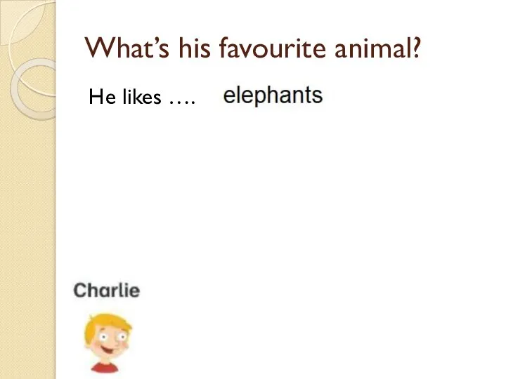 What’s his favourite animal? He likes ….