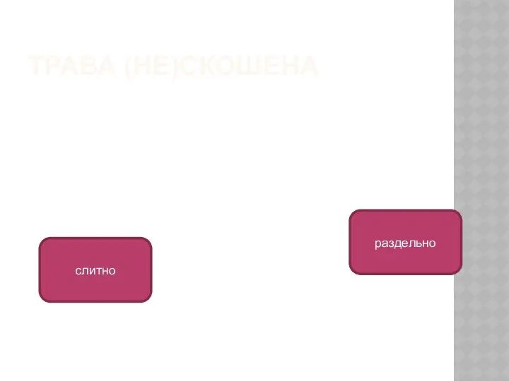 ТРАВА (НЕ)СКОШЕНА раздельно слитно