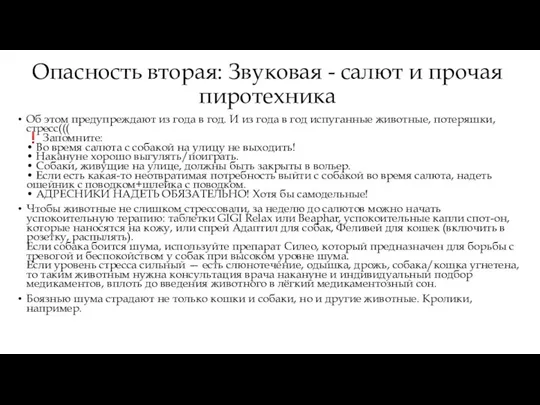 Опасность вторая: Звуковая - салют и прочая пиротехника Об этом предупреждают