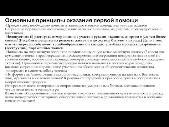 Основные принципы оказания первой помощи -Прежде всего, необходимо поместить животное в