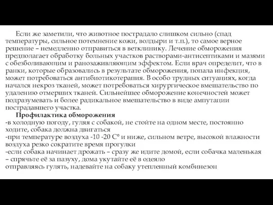 Если же заметили, что животное пострадало слишком сильно (спад температуры, сильное