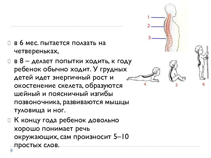 в 6 мес. пытается ползать на четвереньках, в 8 – делает