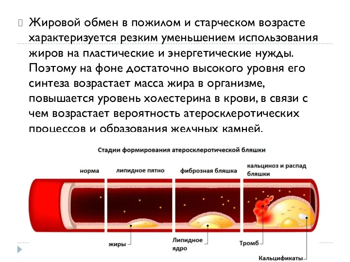 Жировой обмен в пожилом и старческом возрасте характеризуется резким уменьшением использования