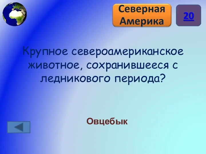 Крупное североамериканское животное, сохранившееся с ледникового периода? Овцебык