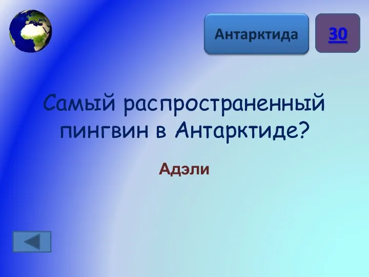 Самый распространенный пингвин в Антарктиде? Адэли