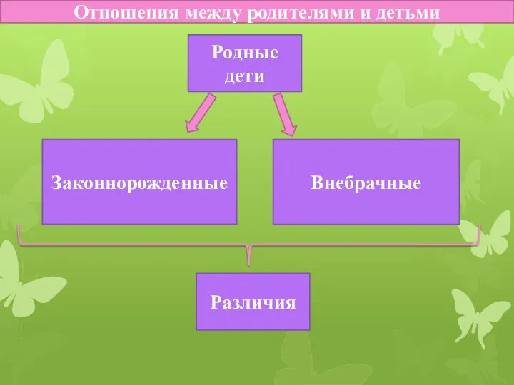 Родные дети Законнорожденные Внебрачные Отношения между родителями и детьми Различия