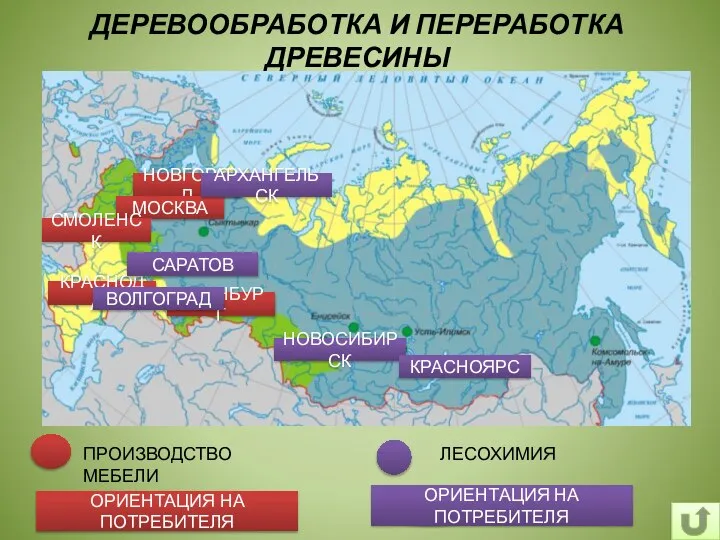 ФАКТОР ДЕРЕВООБРАБОТКА И ПЕРЕРАБОТКА ДРЕВЕСИНЫ ПРОИЗВОДСТВО МЕБЕЛИ ФАКТОР ОРИЕНТАЦИЯ НА ПОТРЕБИТЕЛЯ