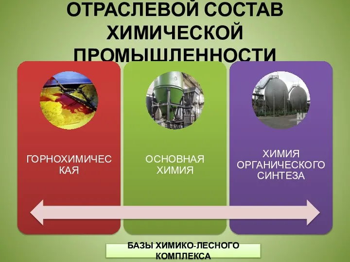 ОТРАСЛЕВОЙ СОСТАВ ХИМИЧЕСКОЙ ПРОМЫШЛЕННОСТИ БАЗЫ ХИМИКО-ЛЕСНОГО КОМПЛЕКСА