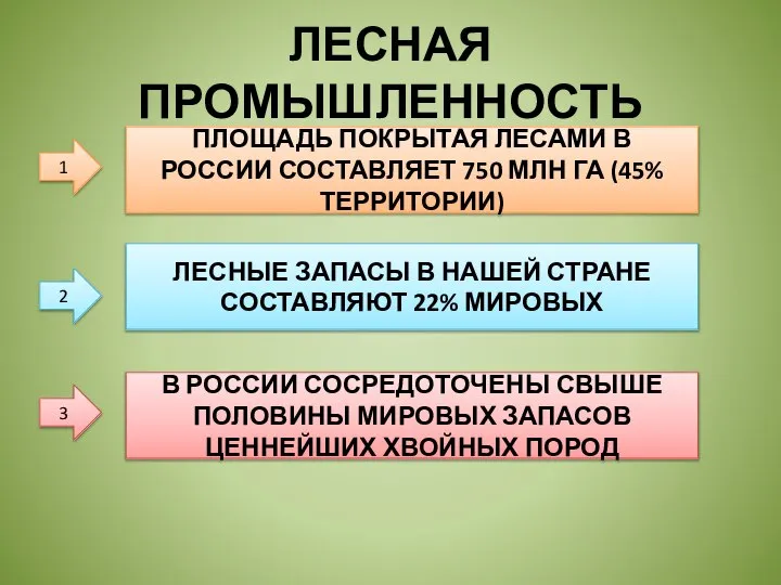 ЛЕСНАЯ ПРОМЫШЛЕННОСТЬ 1 ПЛОЩАДЬ ПОКРЫТАЯ ЛЕСАМИ В РОССИИ СОСТАВЛЯЕТ 750 МЛН