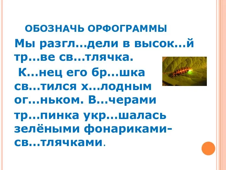 Мы разгл…дели в высок…й тр…ве св…тлячка. К…нец его бр…шка св…тился х…лодным