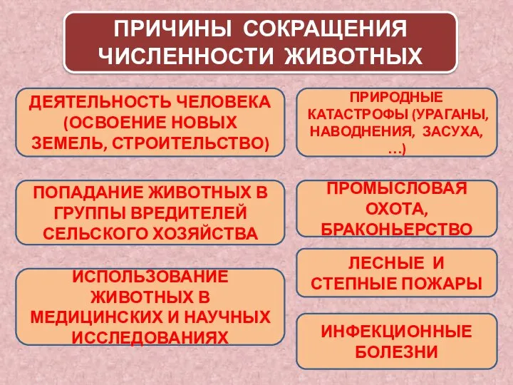 ПРИЧИНЫ СОКРАЩЕНИЯ ЧИСЛЕННОСТИ ЖИВОТНЫХ ДЕЯТЕЛЬНОСТЬ ЧЕЛОВЕКА (ОСВОЕНИЕ НОВЫХ ЗЕМЕЛЬ, СТРОИТЕЛЬСТВО) ПРИРОДНЫЕ