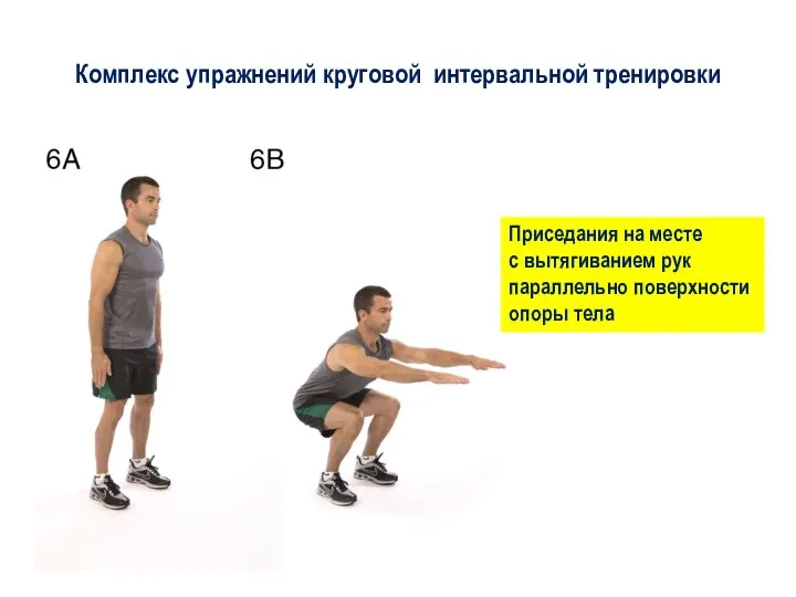 Комплекс упражнений круговой интервальной тренировки Приседания на месте с вытягиванием рук параллельно поверхности опоры тела