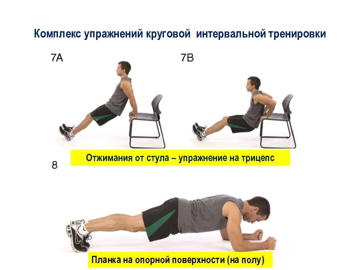Комплекс упражнений круговой интервальной тренировки Отжимания от стула – упражнение на
