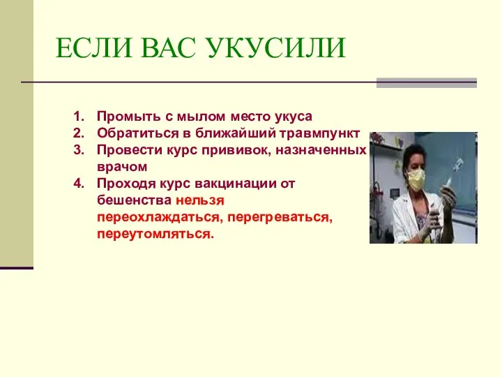 ЕСЛИ ВАС УКУСИЛИ Промыть с мылом место укуса Обратиться в ближайший