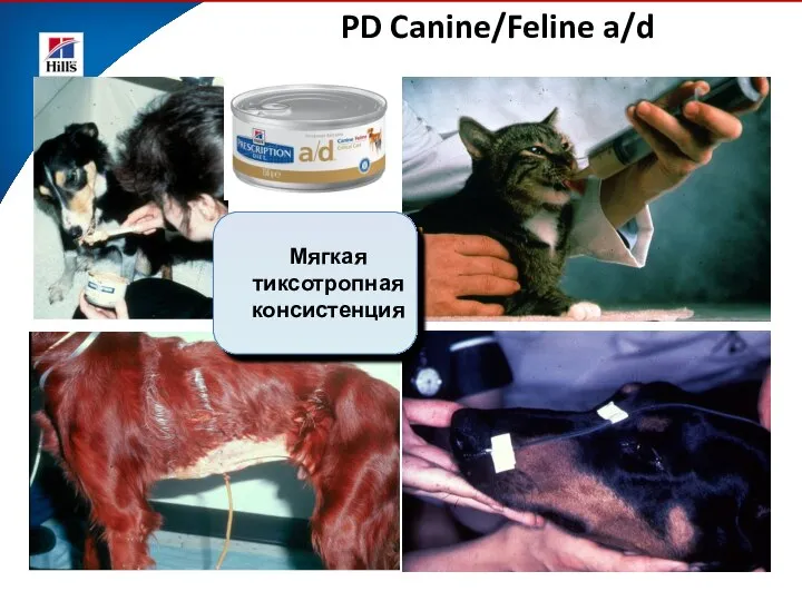 PD Canine/Feline a/d