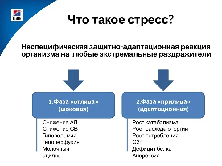 Неспецифическая защитно-адаптационная реакция организма на любые экстремальные раздражители Что такое стресс?