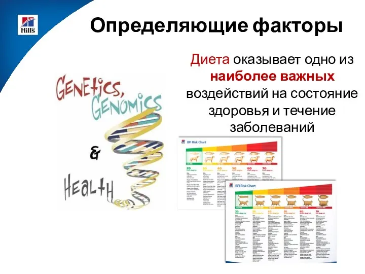 Определяющие факторы Диета оказывает одно из наиболее важных воздействий на состояние здоровья и течение заболеваний