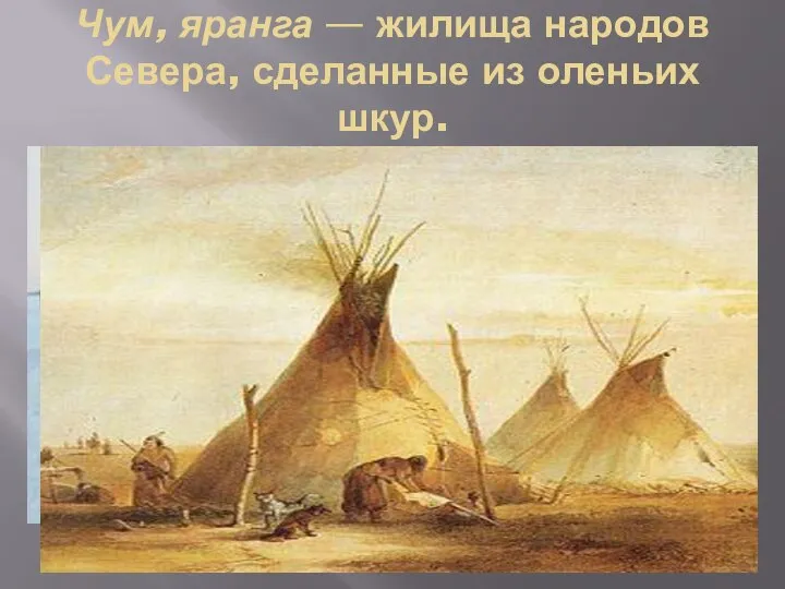 Чум, яранга — жилища народов Севера, сделанные из оленьих шкур.