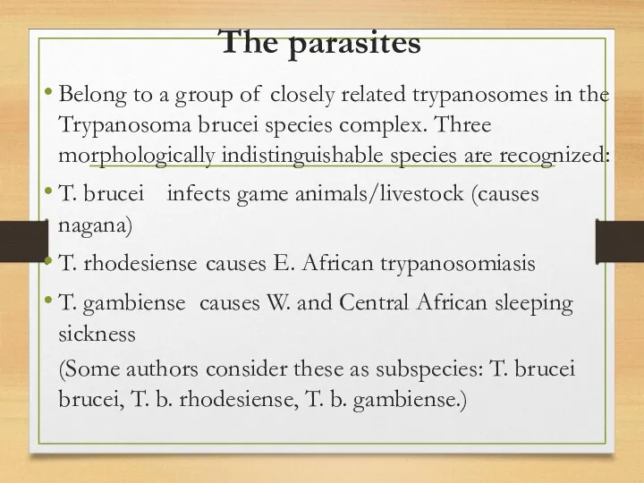 The parasites Belong to a group of closely related trypanosomes in