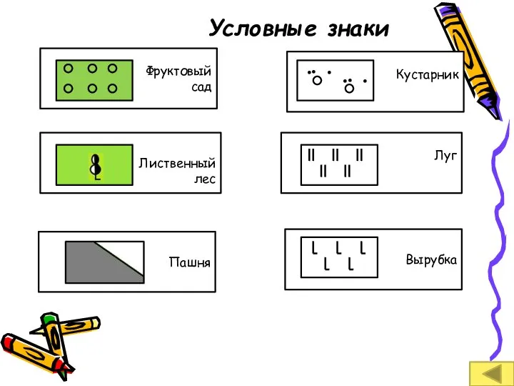 Фруктовый сад Лиственный лес Пашня Кустарник Луг Вырубка Условные знаки