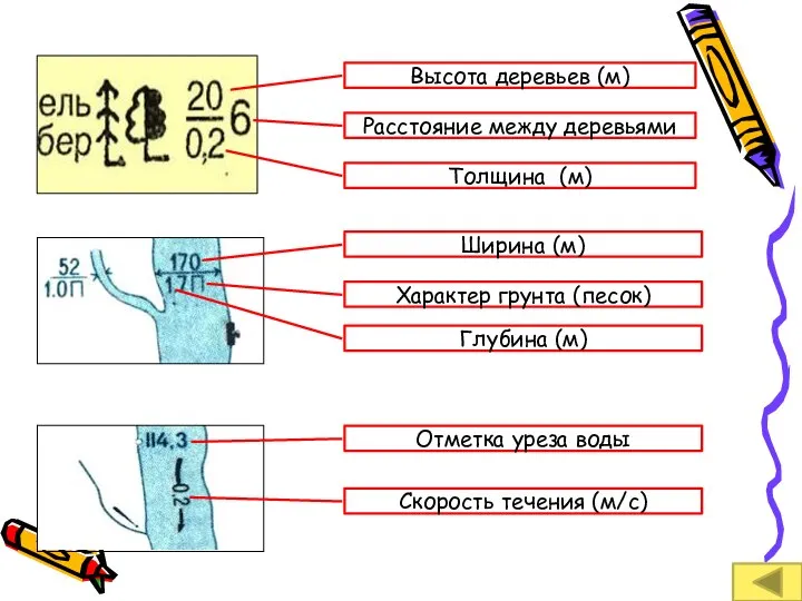 Высота деревьев (м) Расстояние между деревьями Толщина (м) Ширина (м) Характер