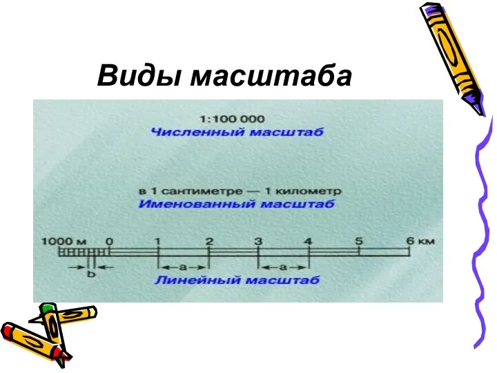 Виды масштаба