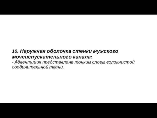 10. Наружная оболочка стенки мужского мочеиспускательного канала: - Адвентиция представлена тонким слоем волокнистой соединительной ткани.