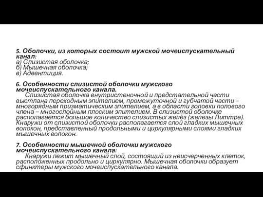 5. Оболочки, из которых состоит мужской мочеиспускательный канал: а) Слизистая оболочка;