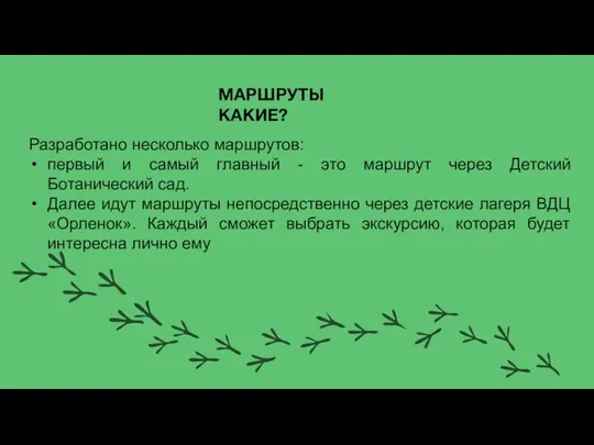 МАРШРУТЫ КАКИЕ? Разработано несколько маршрутов: первый и самый главный - это