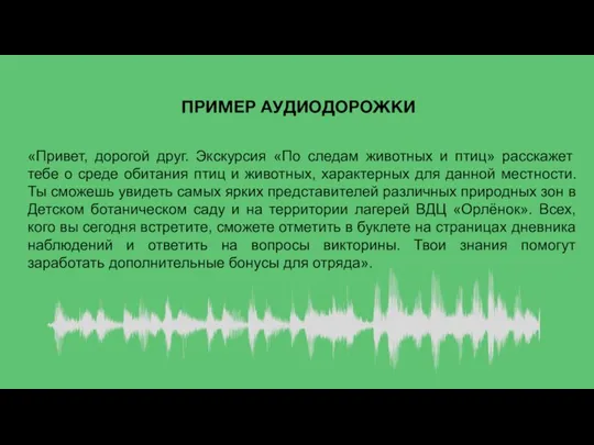 ПРИМЕР АУДИОДОРОЖКИ «Привет, дорогой друг. Экскурсия «По следам животных и птиц»