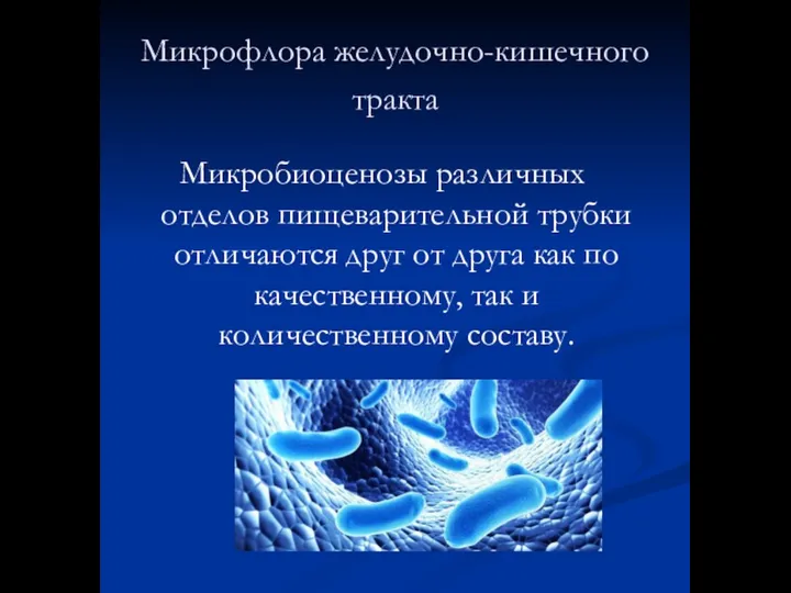 Микрофлора желудочно-кишечного тракта Микробиоценозы различных отделов пищеварительной трубки отличаются друг от