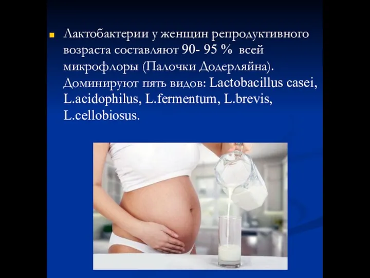 Лактобактерии у женщин репродуктивного возраста составляют 90- 95 % всей микрофлоры