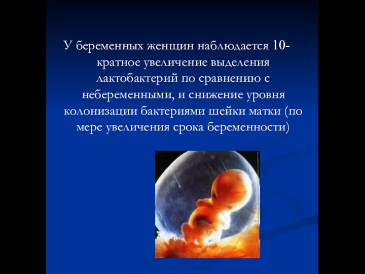 У беременных женщин наблюдается 10-кратное увеличение выделения лактобактерий по сравнению с