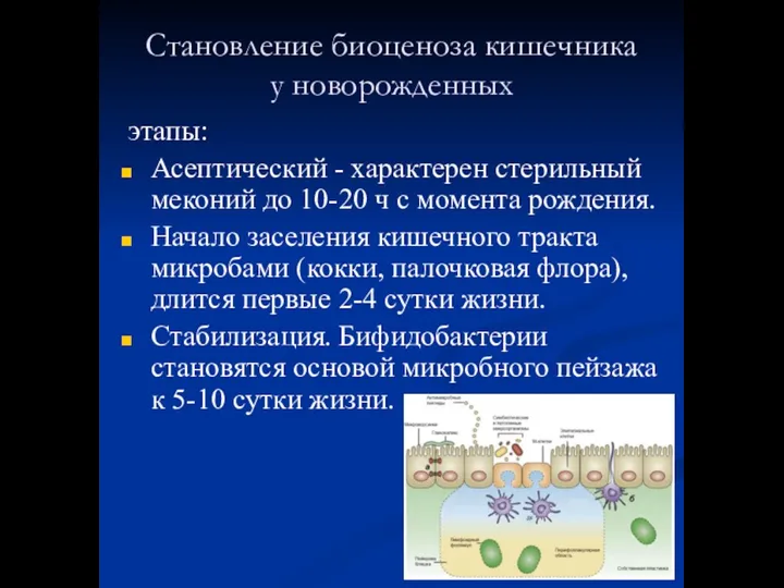 Становление биоценоза кишечника у новорожденных этапы: Асептический - характерен стерильный меконий