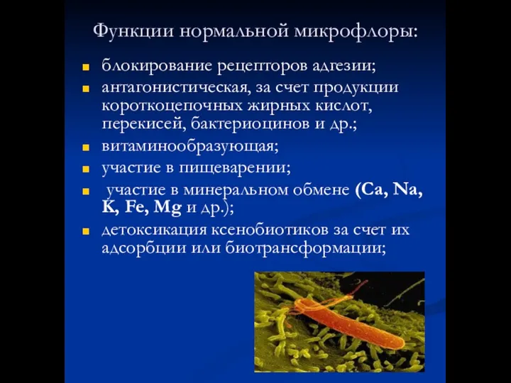 Функции нормальной микрофлоры: блокирование рецепторов адгезии; антагонистическая, за счет продукции короткоцепочных