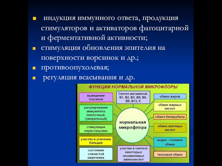 индукция иммунного ответа, продукция стимуляторов и активаторов фагоцитарной и ферментативной активности;