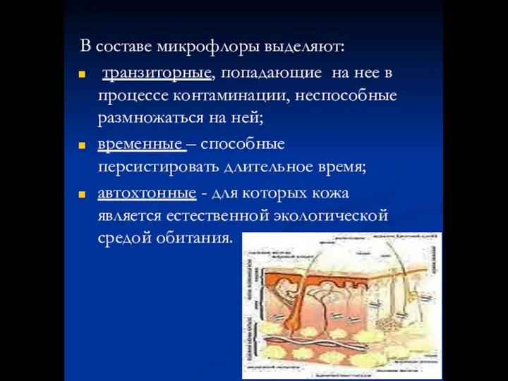 В составе микрофлоры выделяют: транзиторные, попадающие на нее в процессе контаминации,