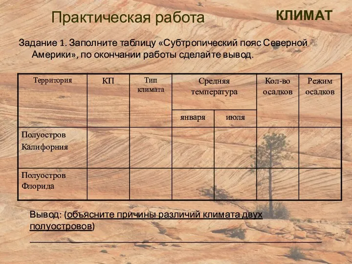 Практическая работа Задание 1. Заполните таблицу «Субтропический пояс Северной Америки», по