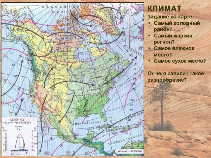 КЛИМАТ Задание по карте: Самый холодный район? Самый жаркий регион? Самое