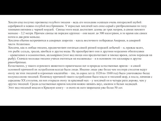 Хохлач еще получил прозвище голубого тюленя – ведь его молодняк оснащен