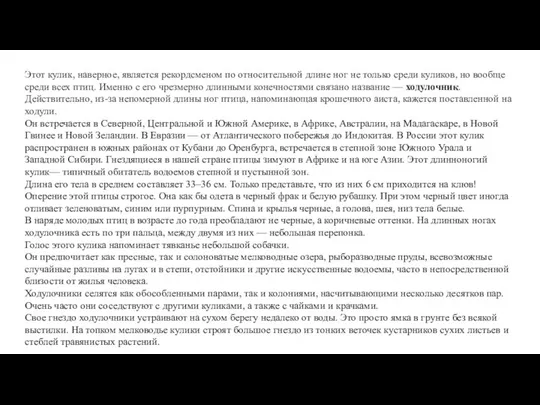 Этот кулик, наверное, является рекордсменом по относительной длине ног не только